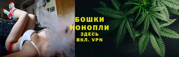 первитин Няндома