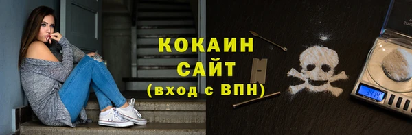 мдпв Новозыбков