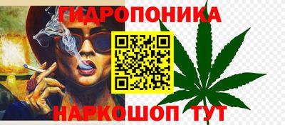 прущие грибы Ирбит