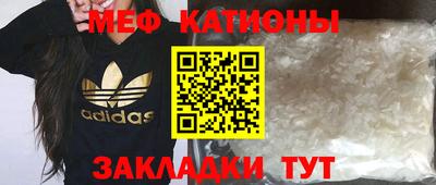 прущие грибы Дубна