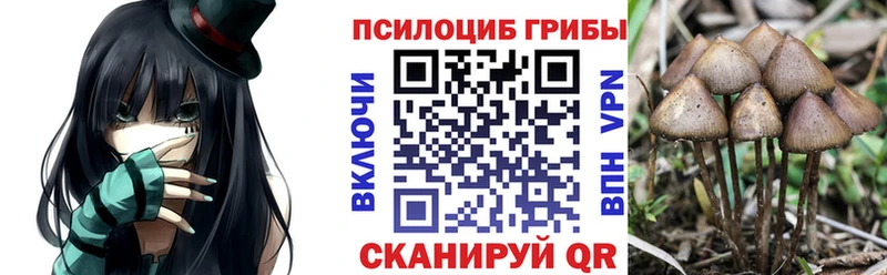 Псилоцибиновые грибы Psilocybine cubensis  Красный Сулин 